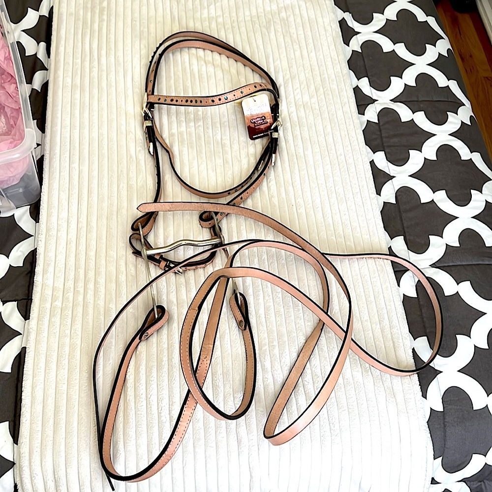NWT WESTERN SHOW BRIDLE W SILVER ACCENTS